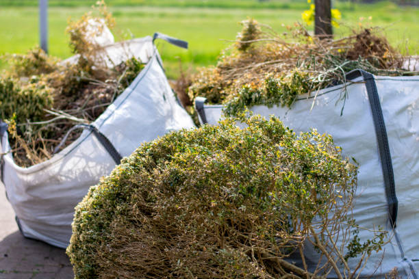 Yard Cleanup Services in North Augusta, SC